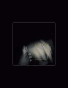 stussy सुनें, म्यूज़िक वीडियो देखें, बायो पढ़ें, दौरे की तारीखें और बहुत कुछ देखें!