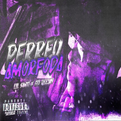 PERREO AMORFODA - Single