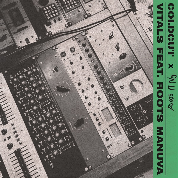 Vitals (feat. Roots Manuva) - Single
