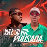 Você Só Vive Pousada - Single - noturno real & PG cria