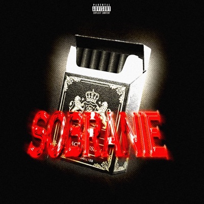 SOBRANIE (feat. WrstDanny) - Single