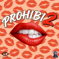 Prohibi2 (feat. Skereboys) - Single - Dayluce