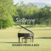 Sicilienne - Sounds from a Box