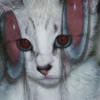 Kuando kieras regresar - Single - hirikomori