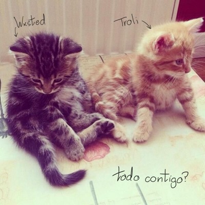 todo contigo? (feat. wxsted) - Single