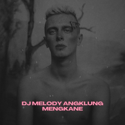 Pro Revolution - Dj Melody Angklung Mengkane