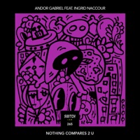 Nothing Compares 2 U (feat. Ingrid Naccour) - Single - Andor Gabriel