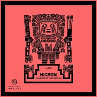 Chariots Of The Gods - EP - Micron