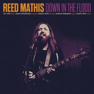 Down In The Flood (feat. Adam MacDougall, Jay Lane, Giulio Xavier Cetto, Natalie Cressman & Elliott Peck)