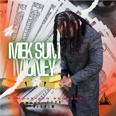 Mek Sum Money (feat. Combustion Recordz) - Single