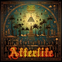 Afterlife - Single - Rizwan Shakir