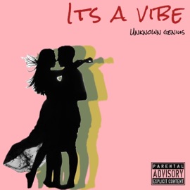 Its a vibe Unknown Genius