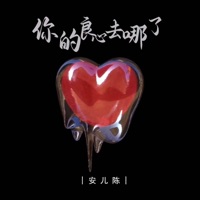 你的良心去哪了 - EP - 安儿陈