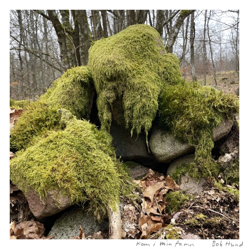 Album artwork
