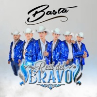 Album cover for Basta by Conjunto Real Del Bravo
