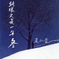 转眼又是一年冬 - Single - 晨小歪