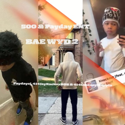 Bae Wyd? 2 (feat. Paydaycj & 414cmoneyslappin) - Single