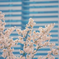 The Way Home - Single - Blue Sirens & bad at math.