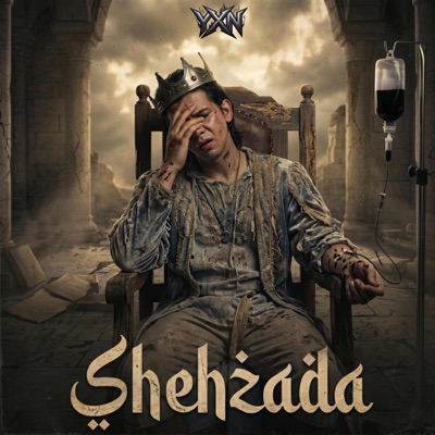 Shehzada (Echo version) - Single