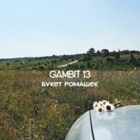 Букет ромашек - Single - Gambit 13