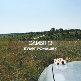Букет ромашек Gambit 13
