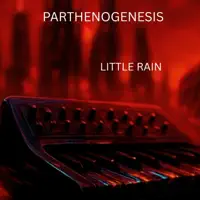 Little Rain