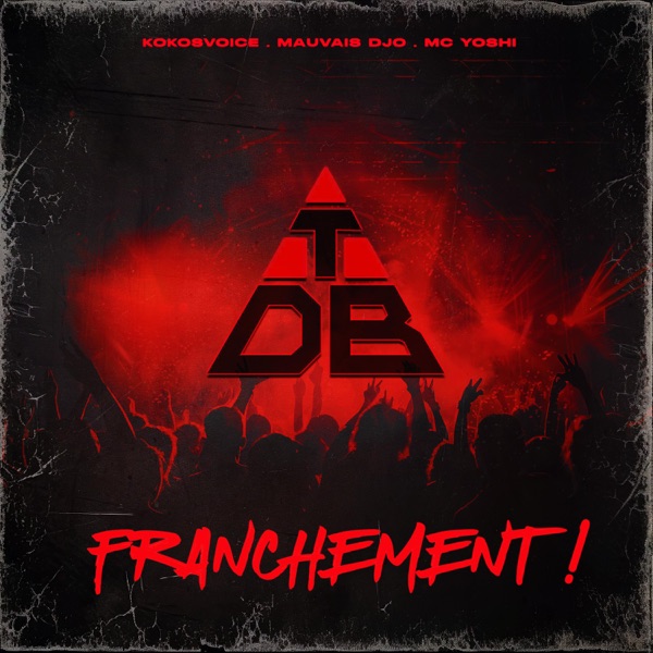 Franchement ! (feat. Kokosvoice, MC YOSHI & Mauvais Djo) - EP - TRIANGLE DES BERMUDES