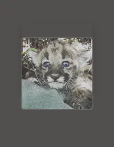 Escucha a Luvive, mira vídeos musicales, lee la biografía, consulta fechas de giras y mucho más.