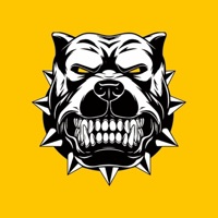 123456 - Single - Frayer Flexking