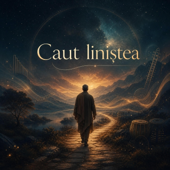 Caut liniștea