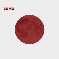 Come la luna — Management