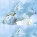 Gardenia