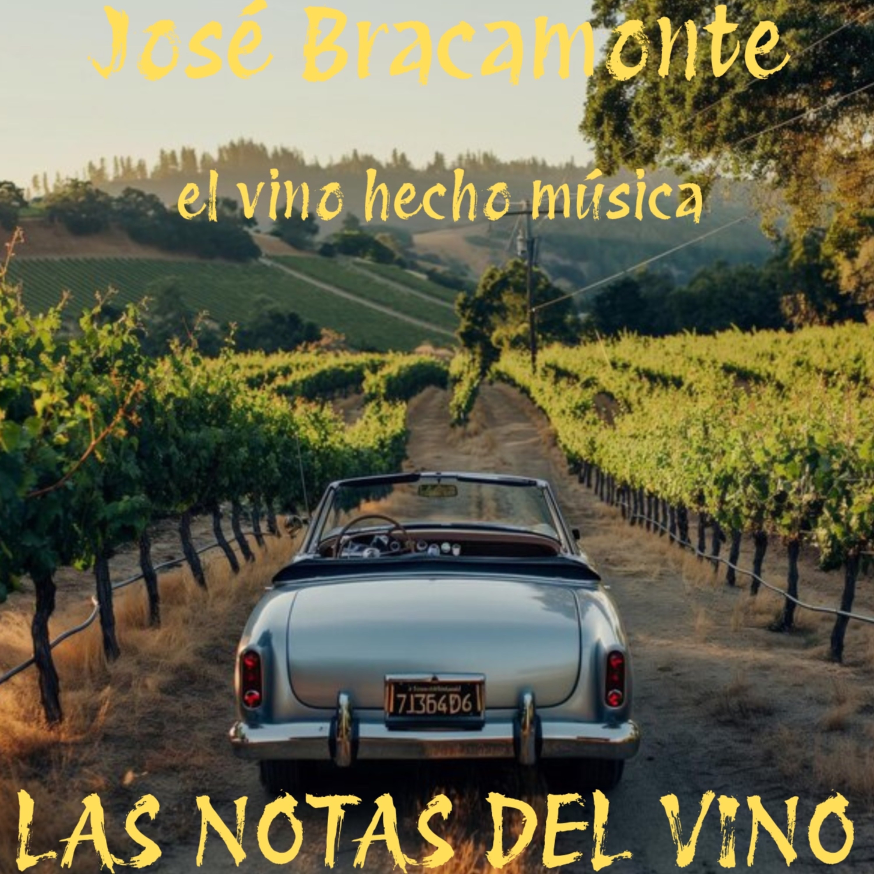Las Notas del Vino, El Vino Hecho Música