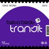 Transit (feat. Loek Van Den Berg) - Single