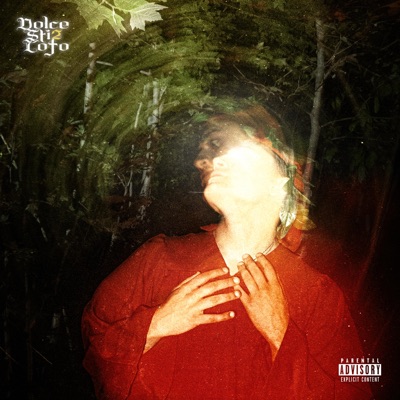 Dolce Sti2 Lofo Mixtape