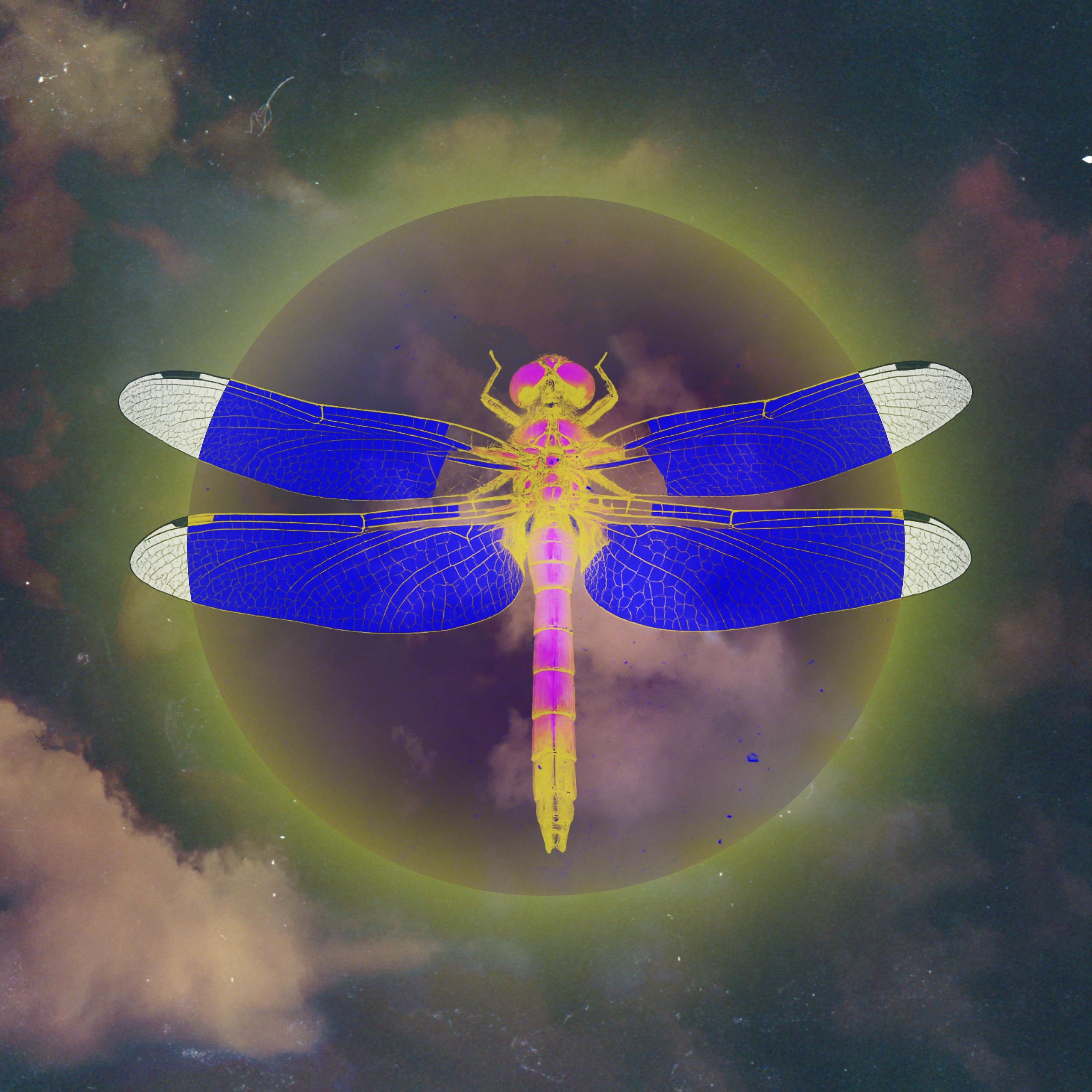 Libélula en el sol - Single