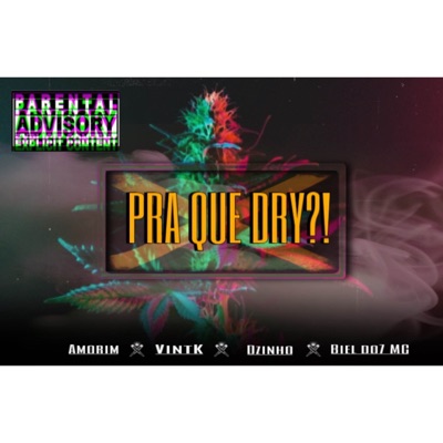 PRA QUE DRY?! (feat. Amorim, VintK & Biel Do7 Mc) - Single