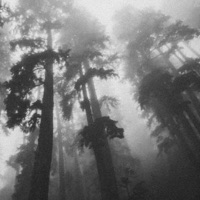 where are you? - Single - Aplxxy