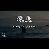 像鱼 (r&b cover up song)