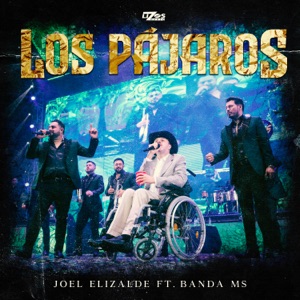 Los Pájaros