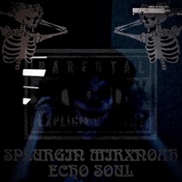 Splurgin' (feat. Echo Soul) - Single - mirxnoah