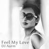 Feel My Love - DJ AURM