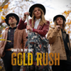 What's In The Bag - Gold Rush artwork