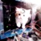 404 (not found) (feat. Salty3r) - Aini lyrics