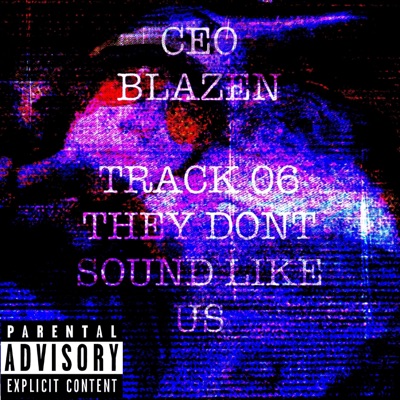 THEY DON'T SOUND LIKE US (feat. CEOWEN) - Single