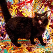 Skull Cult - Language