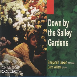 Down By The Salley Gardens
