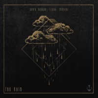 The Rain - Single - David Rausch, flave.uc & mimikri