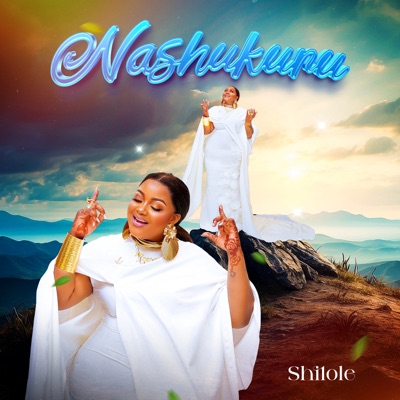 Nashukuru - Single
