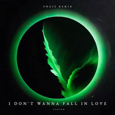 i don't wanna fall in love (PHA2E Remix) - Single